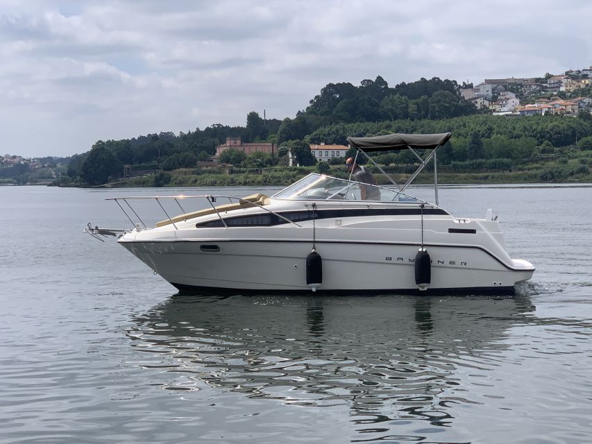 Private Cruise in Rio Douro - 2 hours - Up to 8 Passengers - When you want quieter cruising instead of the bridges