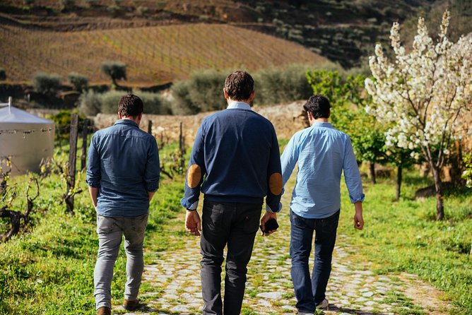 PRIVATE Day Trip Through Enchanting Douro Valley by Car & Boat - Pinhão and the Douro Valley wine centre: the views come early