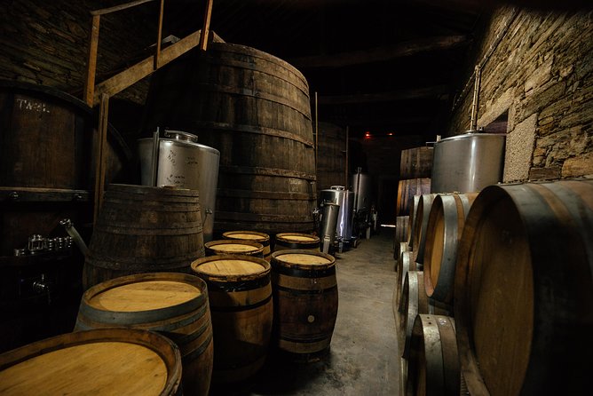 PRIVATE Day Trip Through Enchanting Douro Valley by Car & Boat - Quinta do Infantado: the family winery stop for Port and dry wine fans