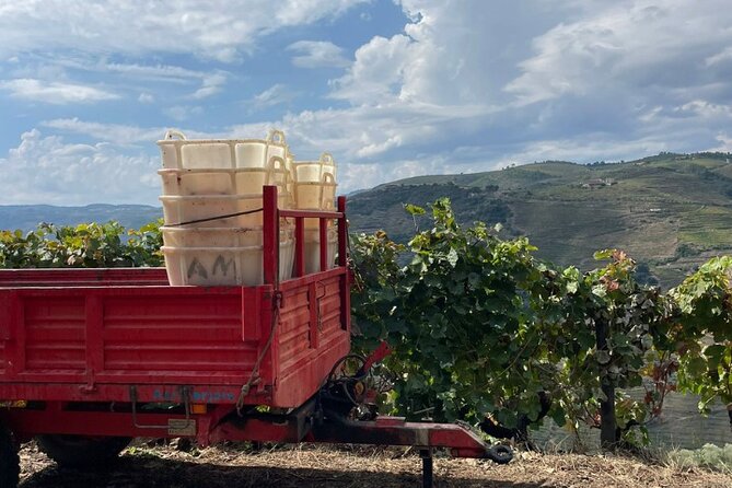 Private Douro 4x4 Adventure from Porto with Deluxe Pic nic - The 4x4 Drive: Narrow Roads, Steep Drops, and Why the Driver Matters