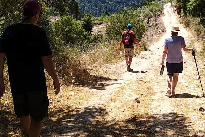 Private Douro and Porto 4x4 Tour with Wine Tasting and Boat Trip - Where you might want to adjust your expectations