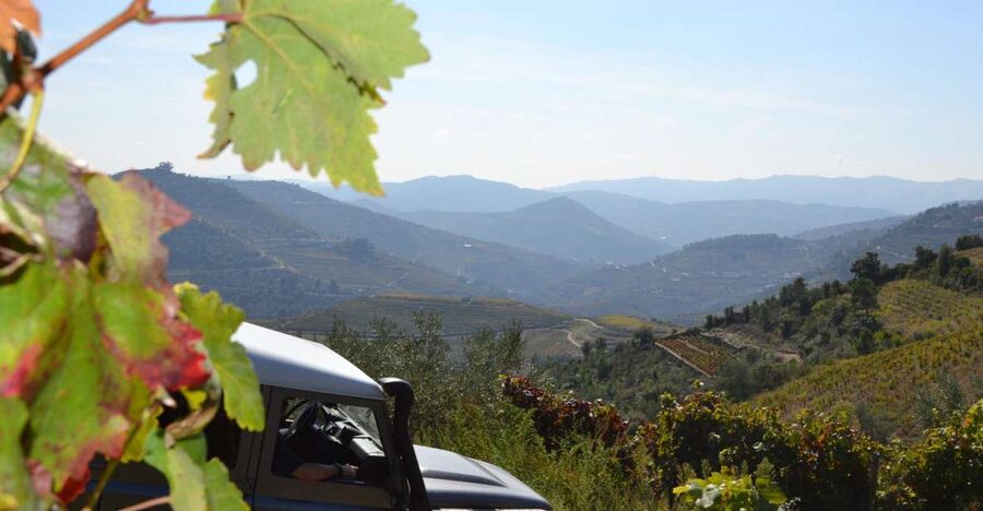 Private Douro Valley 4WD Tour with Wine Tasting and Picnic - Key Highlights You’ll Care About