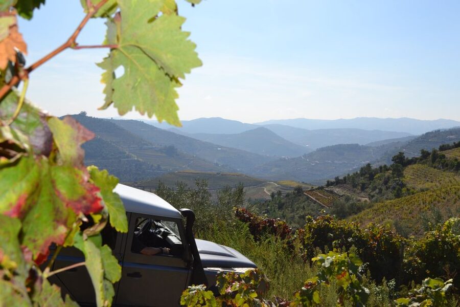 Private Douro Valley 4WD Tour with Wine Tasting and Picnic - Off-Road Adventure That Actually Gets You Away From Crowds