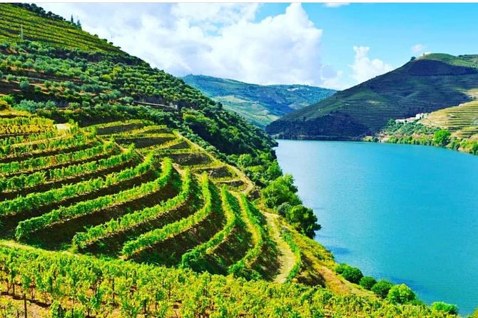 Private Douro Valley Food and Wine Tour From Porto - Porto to the Douro: What the Day Rhythm Really Feels Like