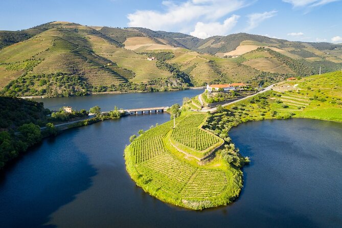 Private Douro Valley - Senses Experiences - Why the Douro, UNESCO, and the World’s Oldest Demarcated Wine Region Matter