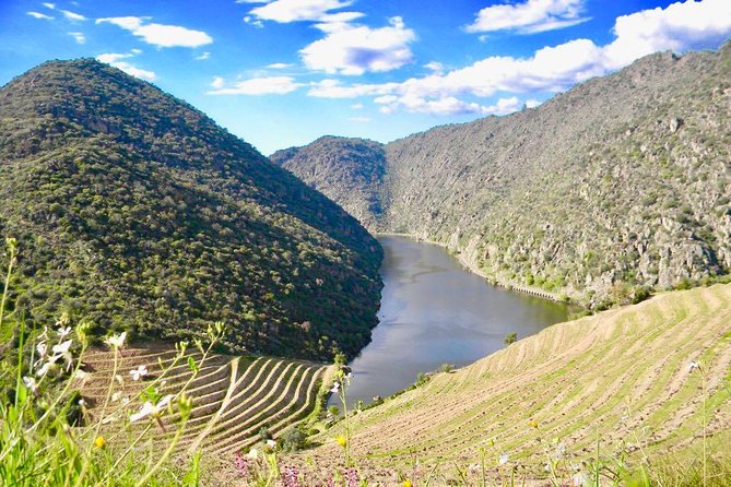 Private Douro Valley - Senses Experiences - Miradouro de Sao Leonardo de Galafura: How the View Makes the Valley Click