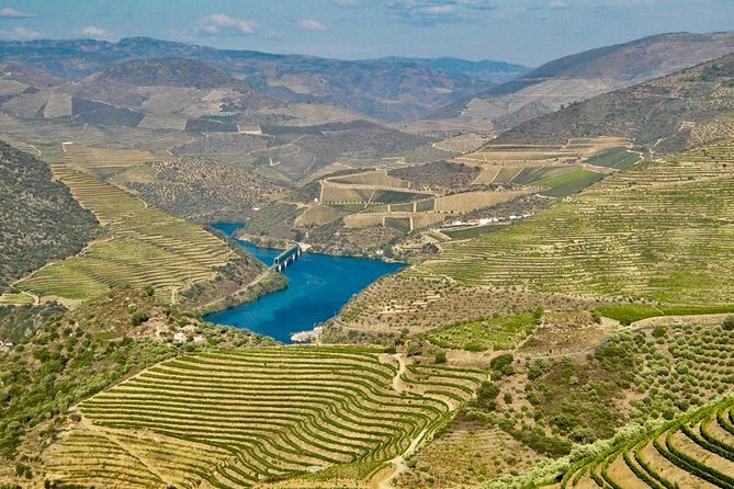 Private Douro Valley - Senses Experiences - Reservations That Let You Choose Lunch, Cellars, or a Boat Trip