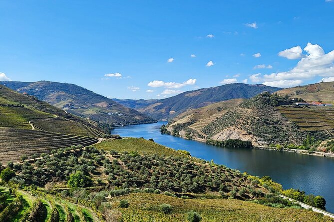 Private Douro Valley Tour (2 wineries + boat) - Key Highlights