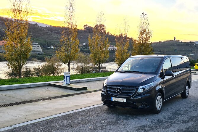 Private Douro Valley Tour (2 wineries + boat) - Peso da Régua, the Launch Pad for a Very Efficient Day