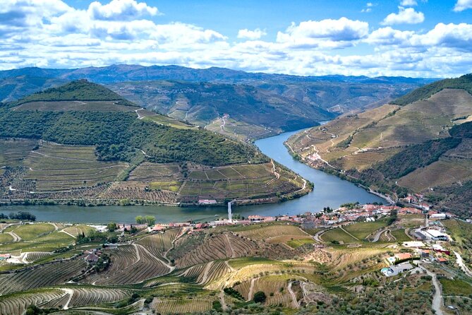 Private Douro Valley Tour: Boutique Winery & River Cruise - Porto pickup and private transport: the day runs on your schedule