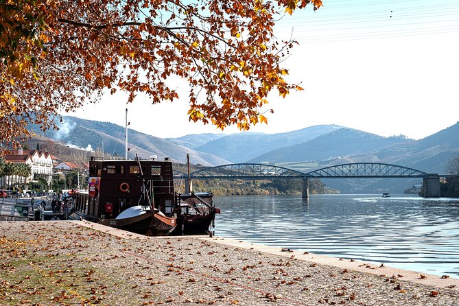 Private Douro Valley Tour: Boutique Winery & River Cruise - Quinta do Cume: the boutique winery stop you will remember