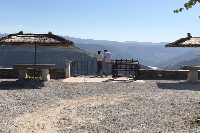 Private Douro Valley Tour from Porto - Wine, olive oil, and honey tasting, a smart trio for non-wine people