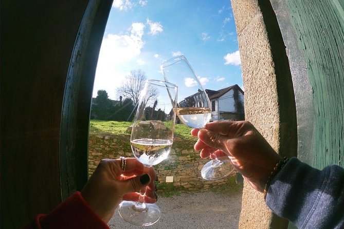 Private Douro Valley Tour from Porto - Lunch in the middle of the day, with real options