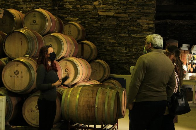 Private Douro Valley Tour from Porto - Port wine farm visit, and what you learn beyond the bottle