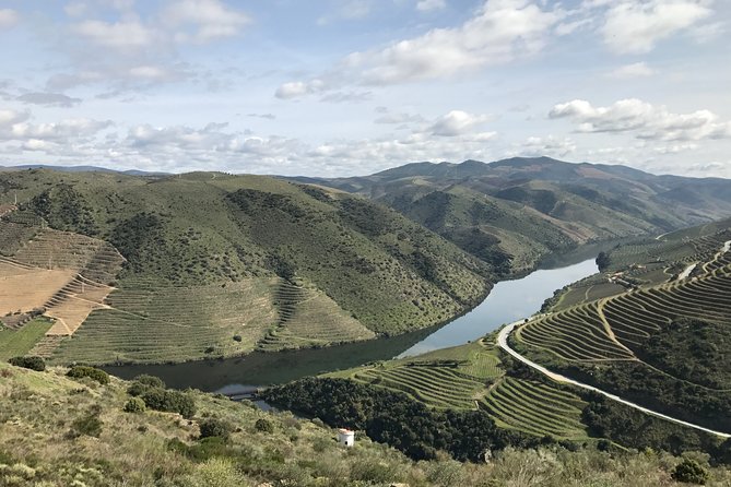 Private Douro Valley Tour Includes Wine Tasting and Boat Tour - Pinhão Station Tiles: Where You’ll Learn by Looking