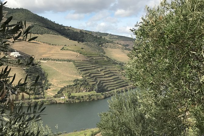 Private Douro Valley Tour Includes Wine Tasting and Boat Tour - Casal de Loivos Viewpoint: The 30 Minutes That Pays Off