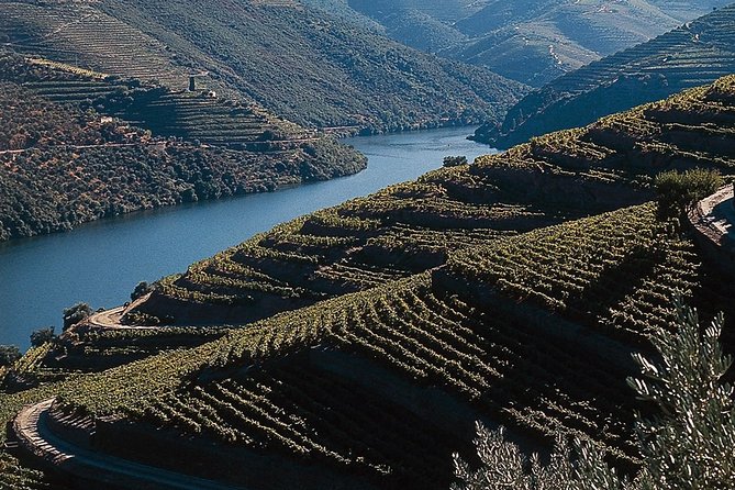 Private Douro Valley Tour Includes Wine Tasting and Boat Tour - The 8.5-Hour Timing: What You’ll Actually Do