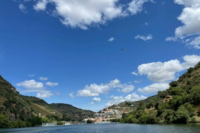 Private Douro Valley Tour with Lunch & Wines - Celeiros family winery: Douro cellar tour plus port tasting