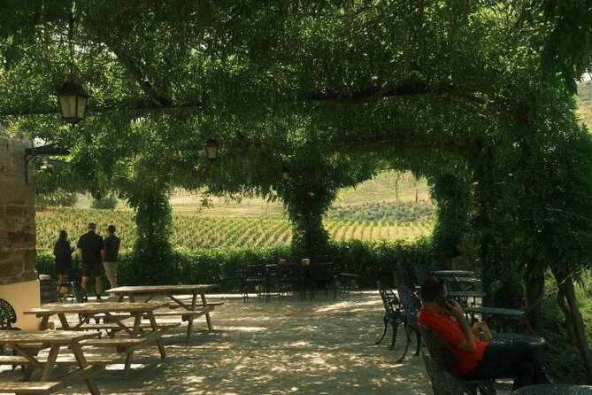 Private Douro Valley Tour with Lunch & Wines - What you’re really paying for with this $228.57 per person price