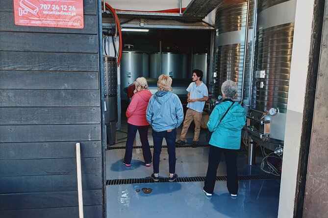 Private Douro Valley Tour with Sommelier, Lunch and Wine Tasting - Stop 1: Vasques de Carvalho for wines and Ports