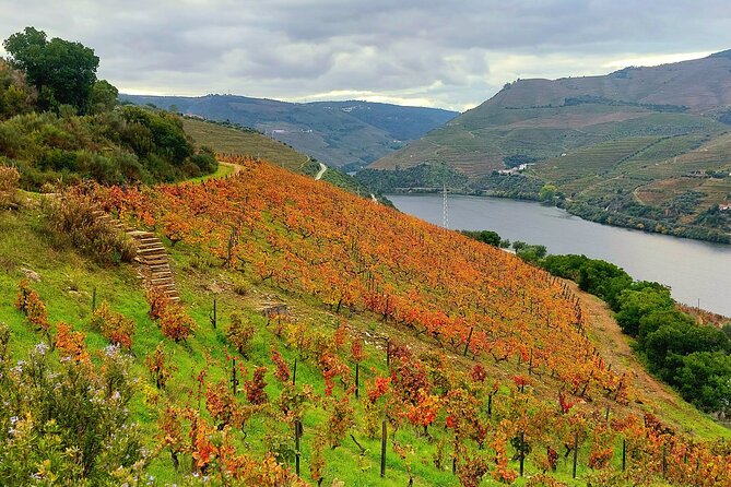 Private Douro Valley UNESCO Wine Tour from Porto with Lunch - Weather, timing, and your best prep moves