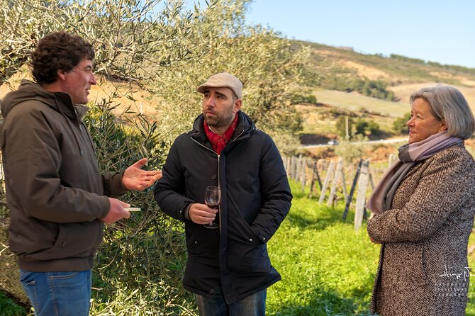 Private Douro Valley UNESCO Wine Tour from Porto with Lunch - Should you book this private Douro Valley UNESCO wine tour from Porto?