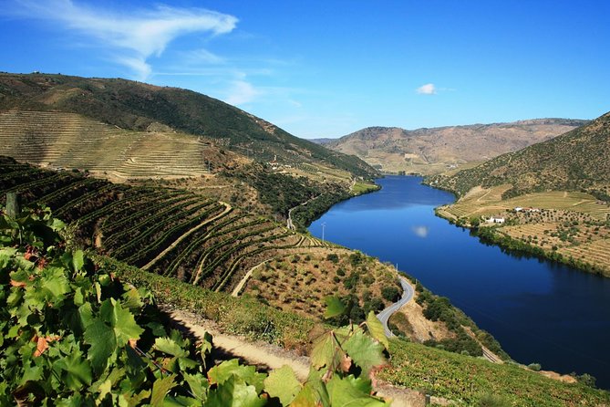 Private Douro Valley visit to three vineyards with Lunch from Porto - A Douro Valley day that actually makes sense