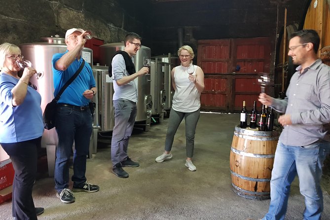 Private Douro Valley visit to three vineyards with Lunch from Porto - Stop 1: Lamego terraced views and a small family vineyard tasting