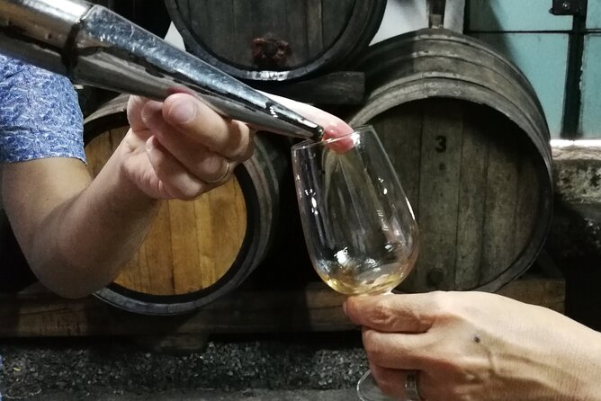 Private Douro Valley Wine Tour - Key things to know before you go