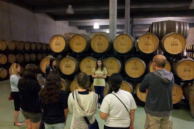 Private Douro Valley Wine Tour: 2 Wine Estates, Lunch and Cruise - Porto to Douro Valley: pickup, drive insights, and a coffee reset