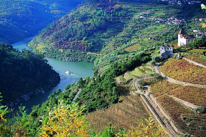 Private Douro Valley Wine Tour: 2 Wine Estates, Lunch and Cruise - Second wine estate plus a final tasting: the vineyard-to-bottle story