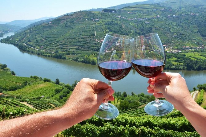 Private Douro Valley Wine Tour: 2 Wine Estates, Lunch and Cruise - Guides drive the experience: Bernardo, Jose, Pedro, and Carlos in the mix