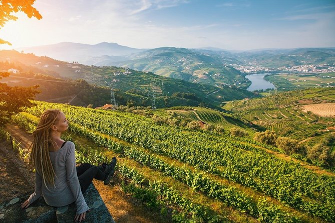 Private Douro Valley Wine Tour: 2 Wine Estates, Lunch and Cruise - The after-lunch switchback drive to Pinhão and a quick viewpoint moment