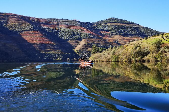 Private Douro Valley Wine Tour + Lunch and Boat Cruise - Key points to know before you go
