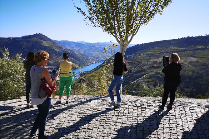 Private Douro Valley Wine Tour + Lunch and Boat Cruise - How the viewpoint stop frames the whole valley in minutes