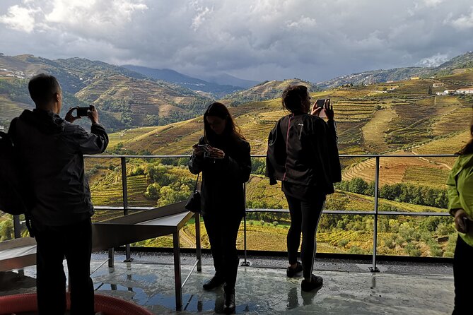 Private Douro Valley Wine Tour + Lunch and Boat Cruise - The Douro River boat cruise, where terraces become a visual lesson