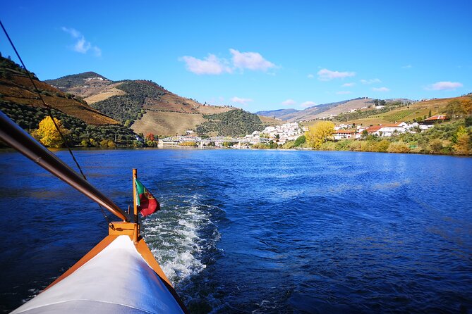 Private Douro Valley Wine Tour + Lunch and Boat Cruise - The family winery tastings, where Douro and Port actually make sense