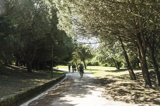 Private e-Bike Tour in Porto – Explore Riverside, Beaches & Parks - Arrábida Bridge: the engineering moment with huge visual payoff