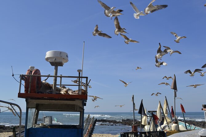 Private Fish Experience with Market-to-table lunch from Porto - Porto to Angeiras: a fishing village morning with a real guide