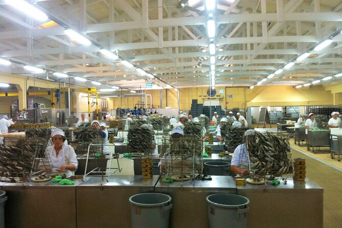 Private Fish Experience with Market-to-table lunch from Porto - Conservas Pinhais: what a centenary sardines factory tour teaches you