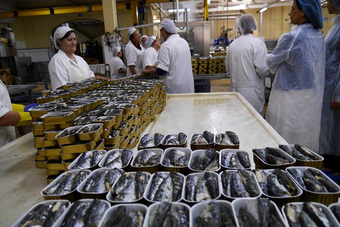 Private Fish Experience with Market-to-table lunch from Porto - Who this private fish tour is for (and who should skip it)