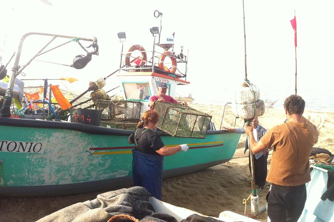 Private Fish Experience with Market-to-table lunch from Porto - Weather and what to pack for a smooth 8:00 am start