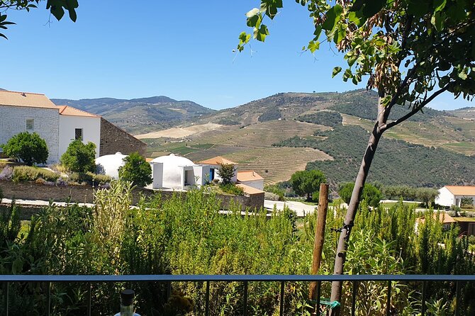 Private full-Day Tour to Douro Valley - Key highlights for your Douro Valley day