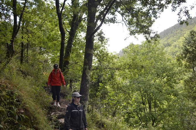 Private Geres National Park Tour with Lunch and Transfers - Lunch that fits the weather and your mood: picnic views or a regional restaurant