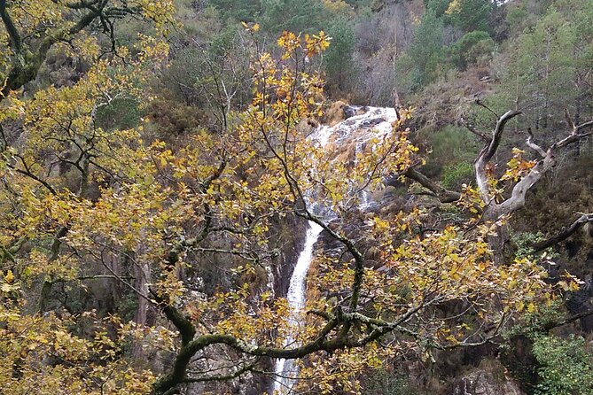Private Guided Tour - Peneda Gerês National Park - Who this tour is best for