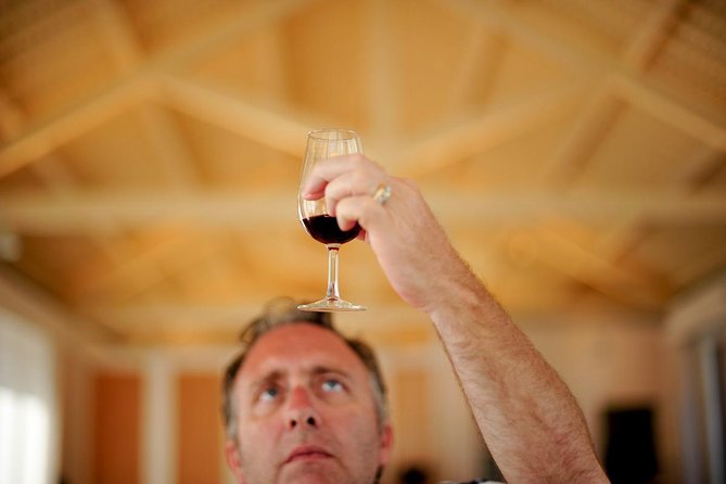 Private off the beaten Douro Valley Wine Tour - Back to Porto with enough time to decompress