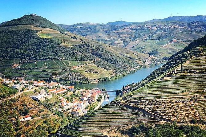 Private off the beaten Douro Valley Wine Tour - A boutique producer and DOC Douro tastings in the valley