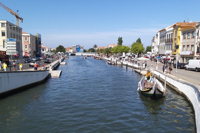Private Porto to Lisbon Tour – Customize Your Journey! - Aveiro canals and moliceiros, plus a smart way to enjoy the ria