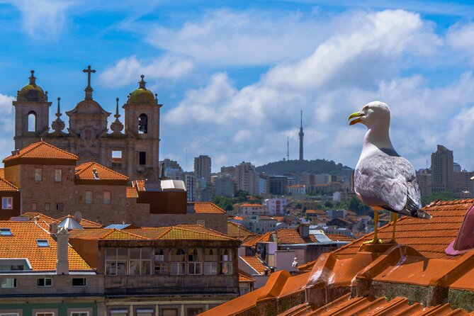 PRIVATE Porto walking tour with historian - Dom Luís I Bridge to Praca da Liberdade: Porto’s geography as a story