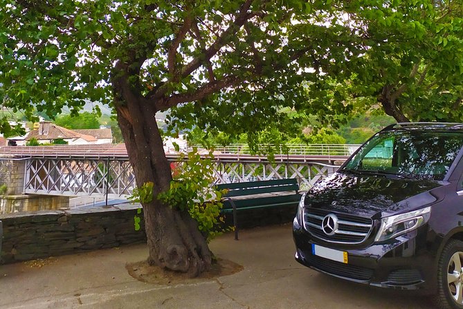 Private Premium Wine Experience through Douro Valley - Private Douro Valley wine touring that feels like you have the road to yourself